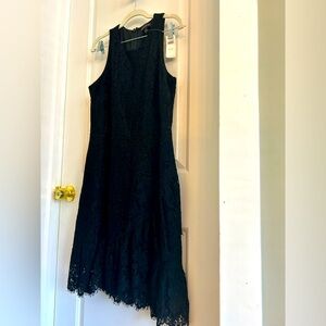 NWT Gorgeous Banana Republic Dress